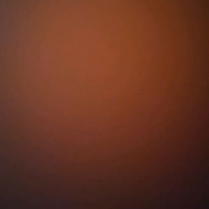 Meet your Posher, Arlene